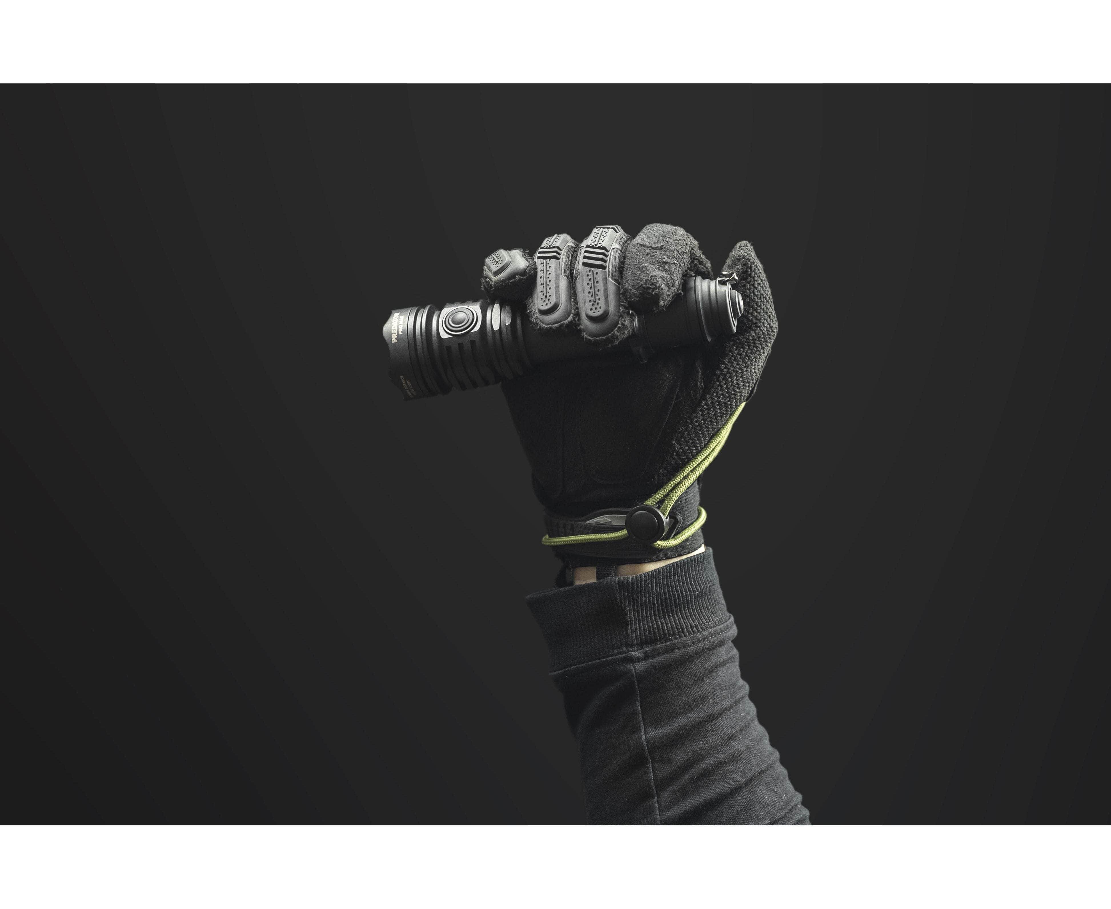 Thumbnail 12